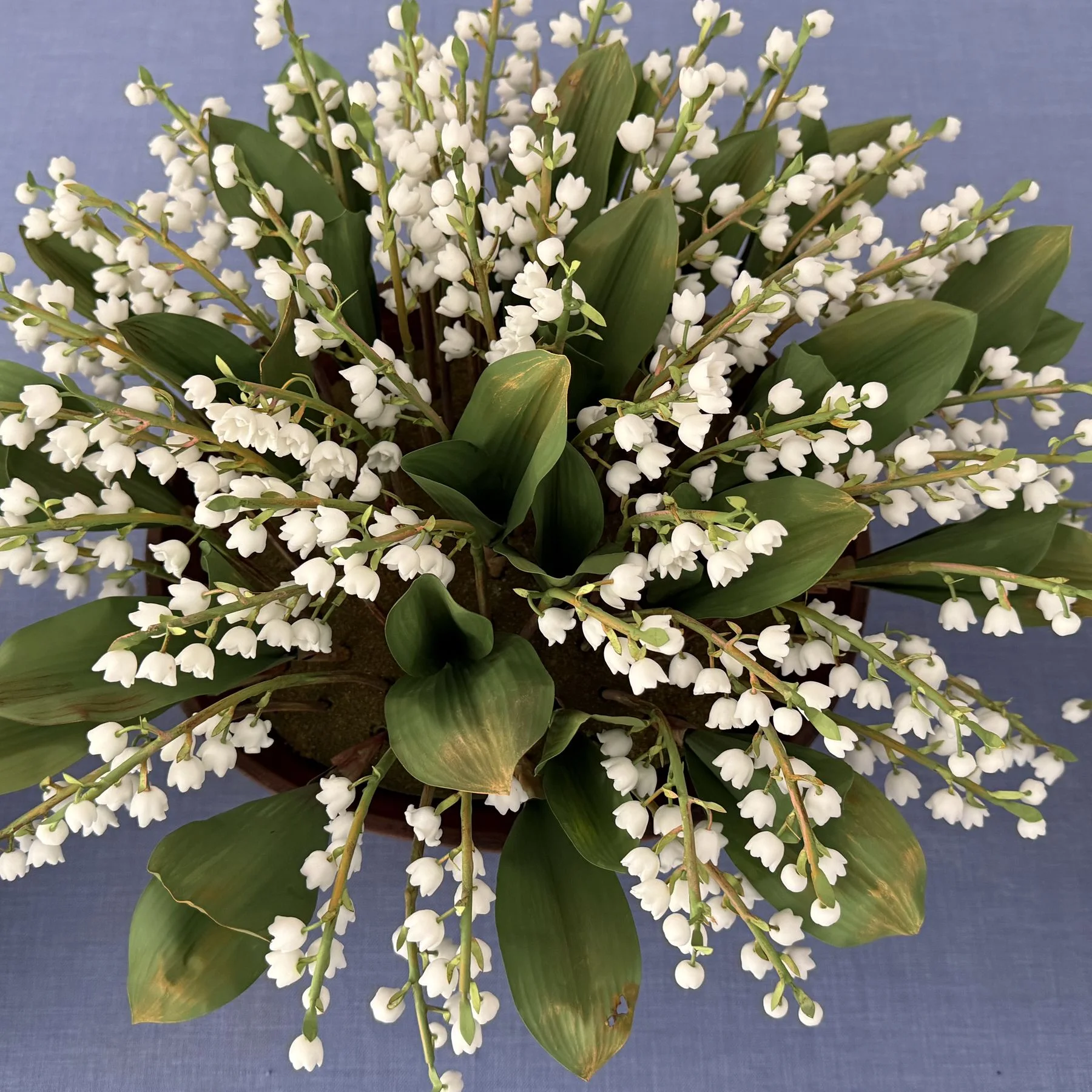 Lily of the valley in an oval pot — botanical sculpture in porcelain and hand-painted copper by Faja Schroeder