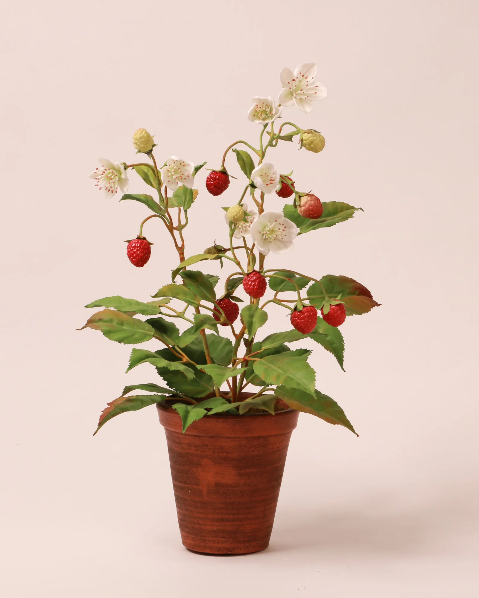 Raspberry — botanical sculpture in porcelain and hand-painted copper by Faja Schroeder
