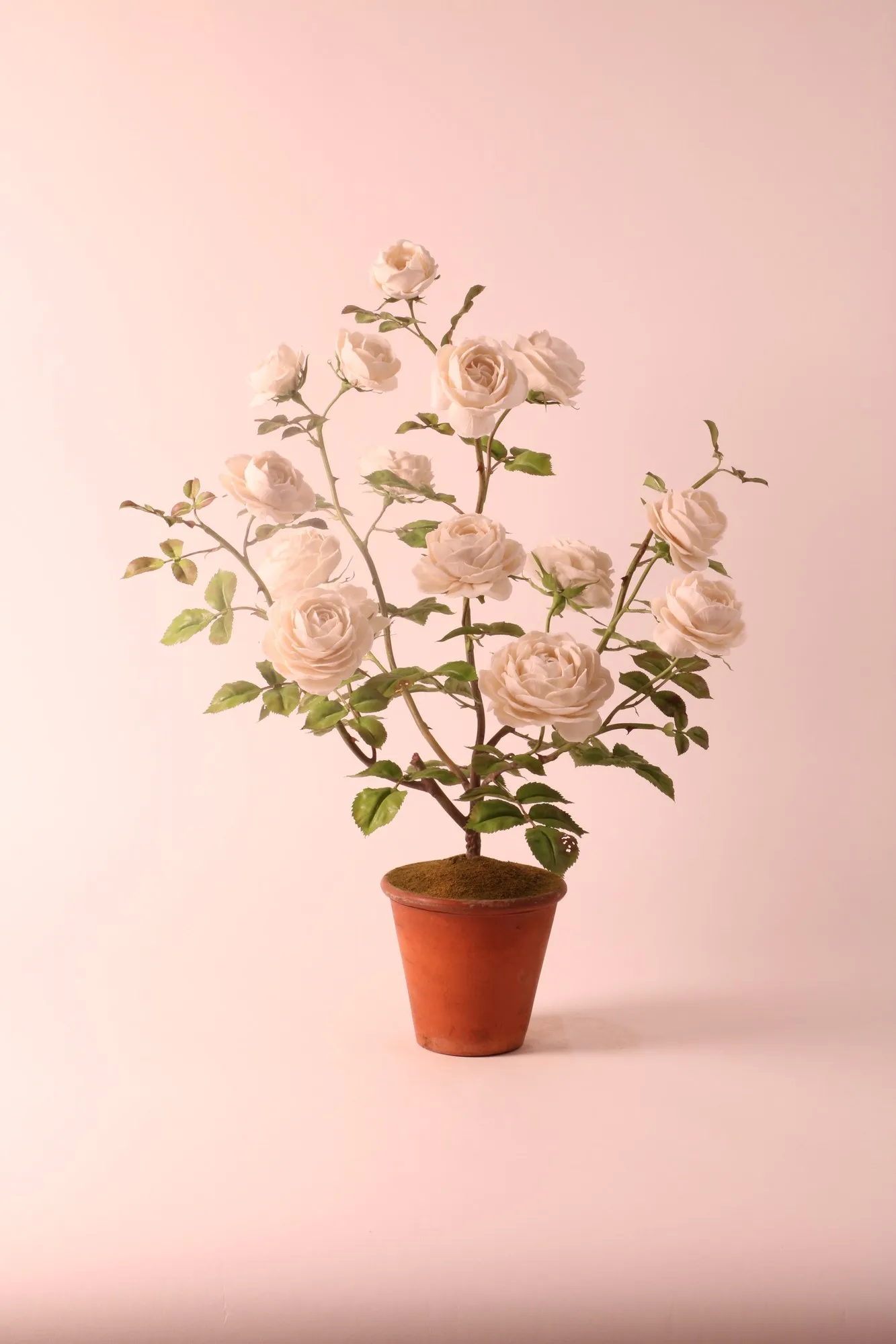 Rose — botanical sculpture in porcelain and hand-painted copper by Faja Schroeder