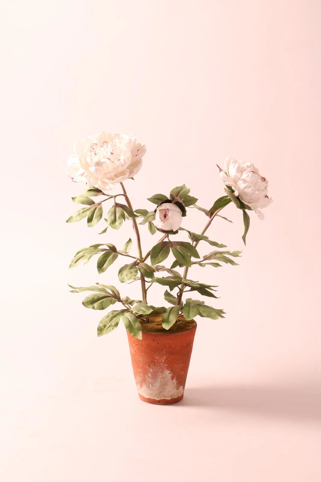 White peony — botanical sculpture in porcelain and hand-painted copper by Faja Schroeder