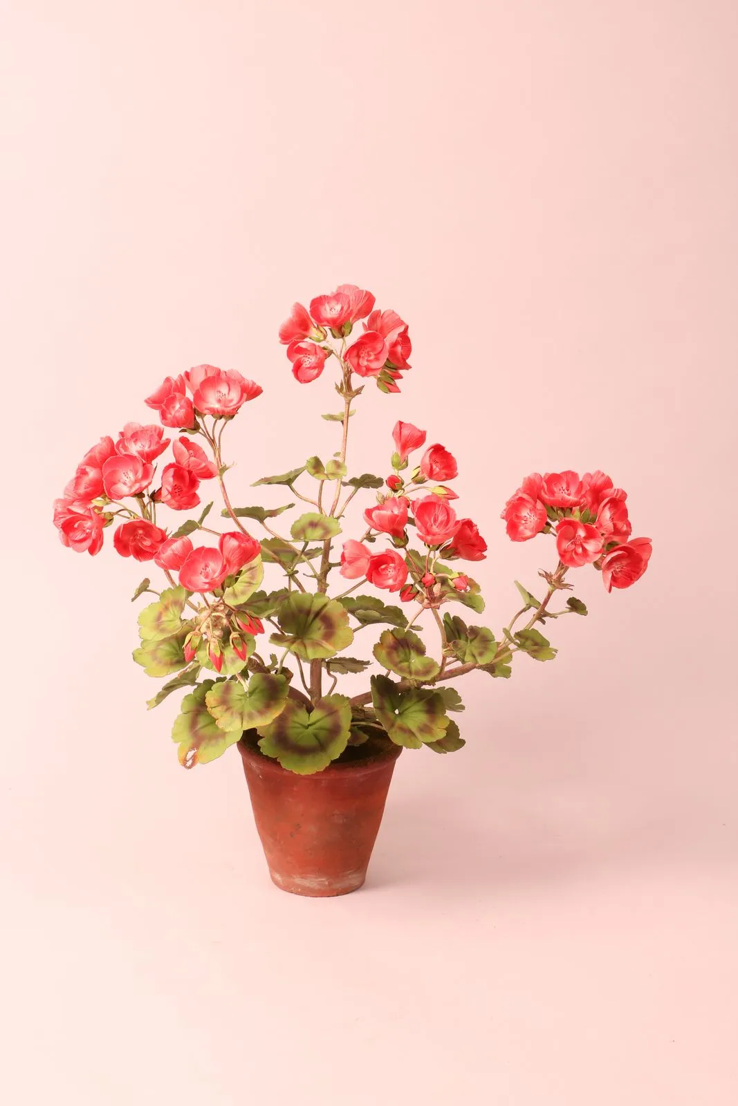 Pelargonium — botanical sculpture in porcelain and hand-painted copper by Faja Schroeder