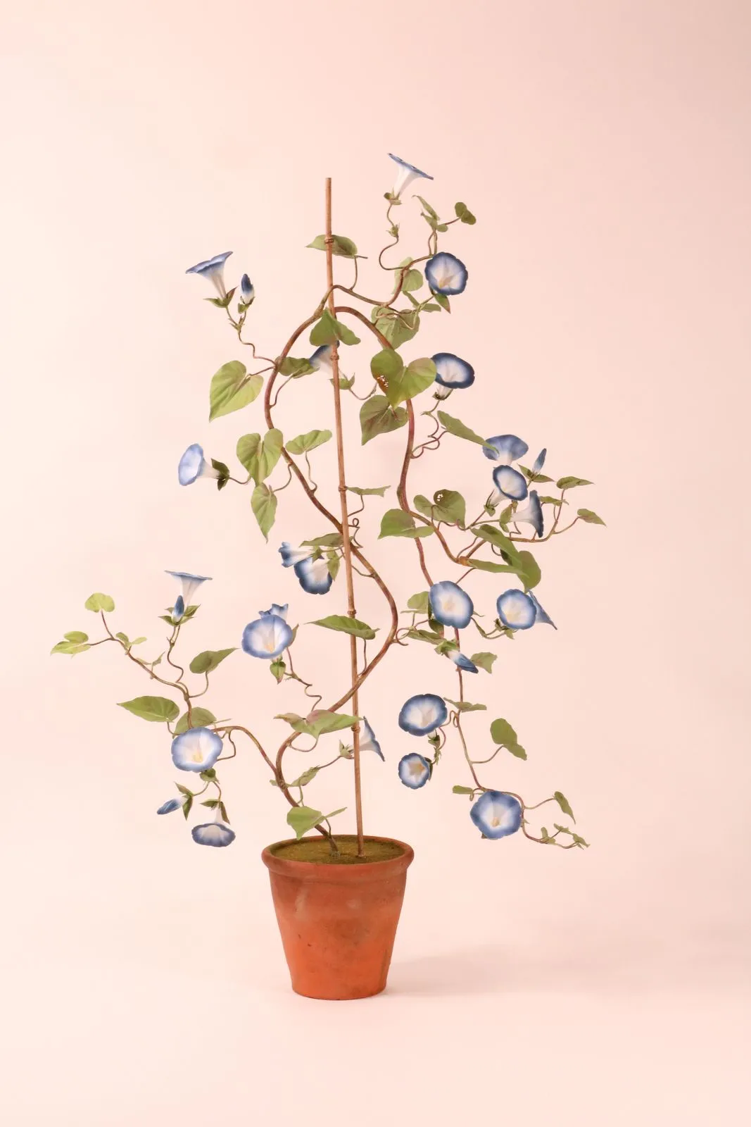 Morning glory — botanical sculpture in porcelain and hand-painted copper by Faja Schroeder