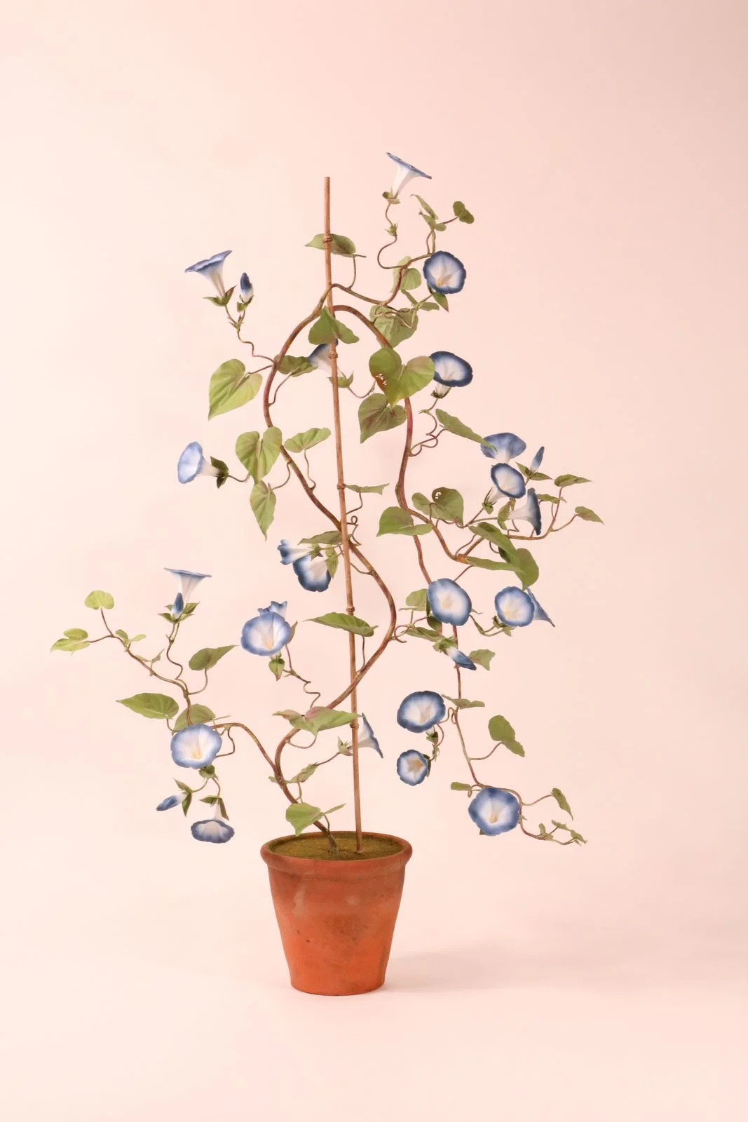 Morning glory — botanical sculpture in porcelain and hand-painted copper by Faja Schroeder