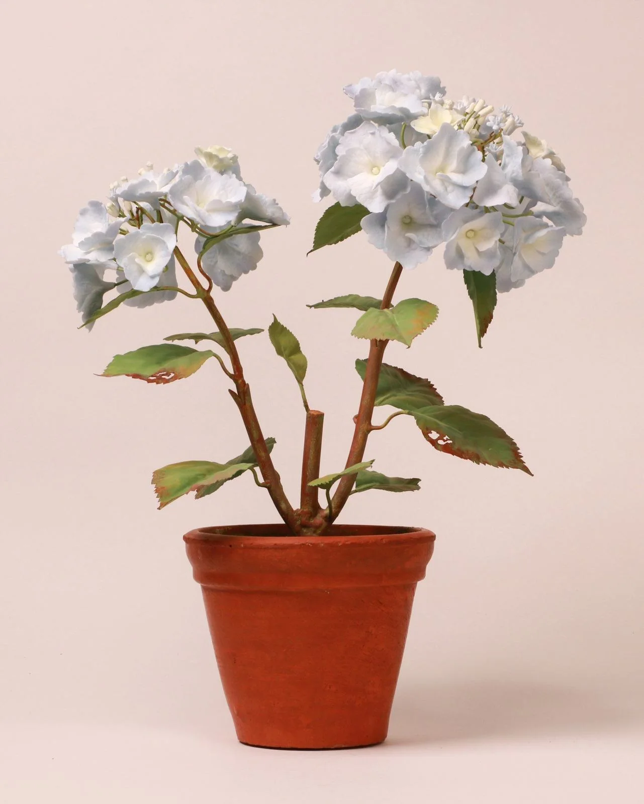 Hydrangea — botanical sculpture in porcelain and hand-painted copper by Faja Schroeder