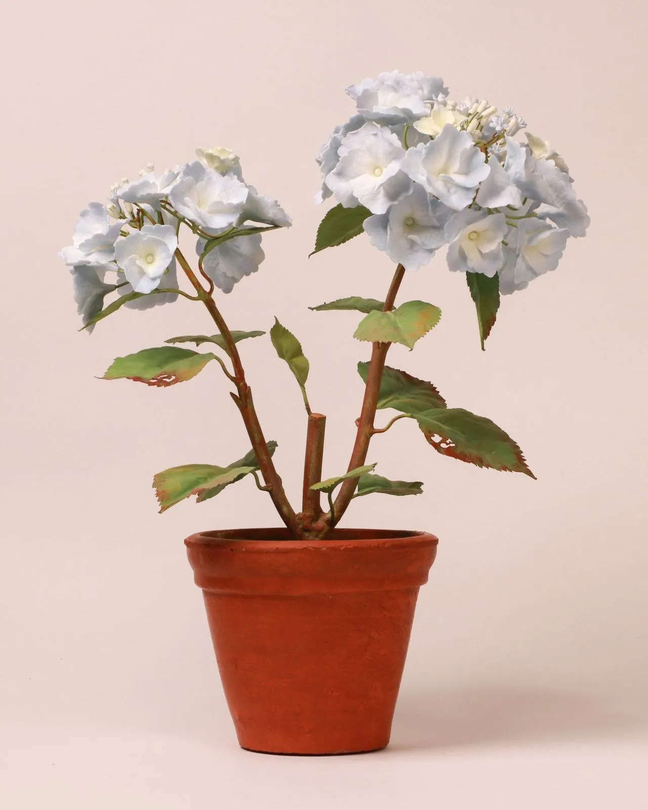 Hydrangea — botanical sculpture in porcelain and hand-painted copper by Faja Schroeder