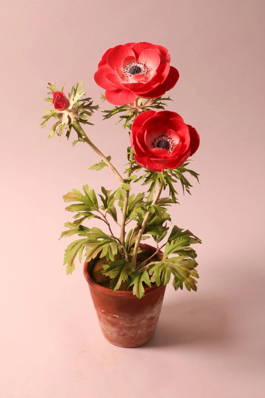 Anemones — botanical sculpture in porcelain and hand-painted copper by Faja Schroeder