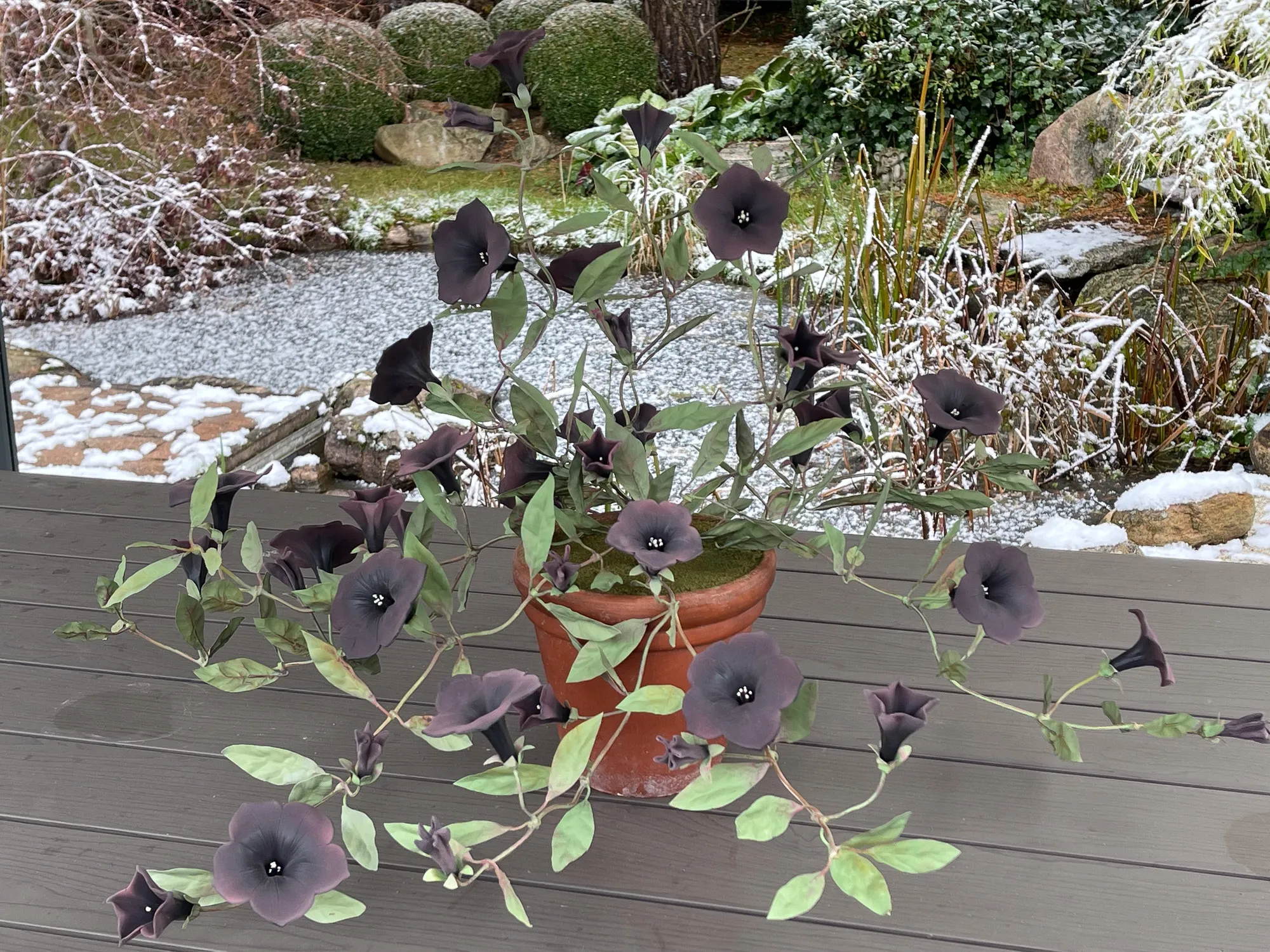Black porcelain petunia — botanical sculpture in porcelain and hand-painted copper by Faja Schroeder