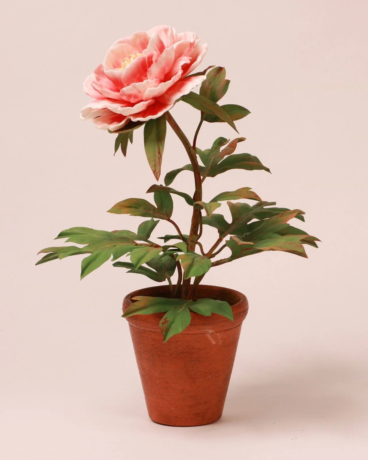 Red peony — botanical sculpture in porcelain and hand-painted copper by Faja Schroeder