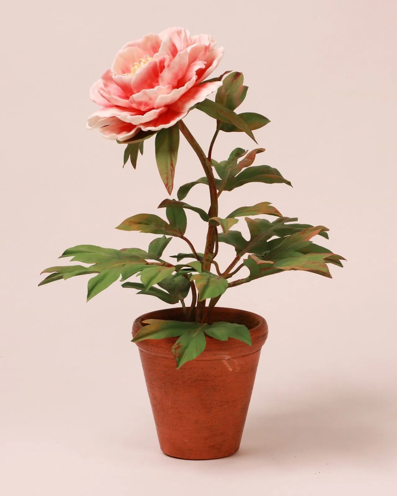 Red peony — botanical sculpture in porcelain and hand-painted copper by Faja Schroeder